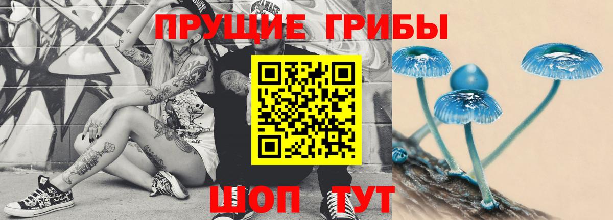 Псилоцибиновые грибы Cubensis  Псилоцибиновые грибы прущие грибы  Вход с VPN  Новошахтинск 